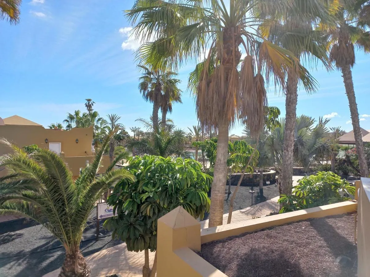 Apartamentos Corralejo Playa Oasis Appartamento